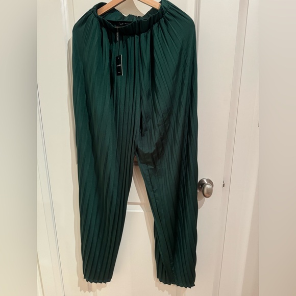 JLUXLABEL Green Half Dollar Pleated Wide Leg Pants - Picture 2 of 2